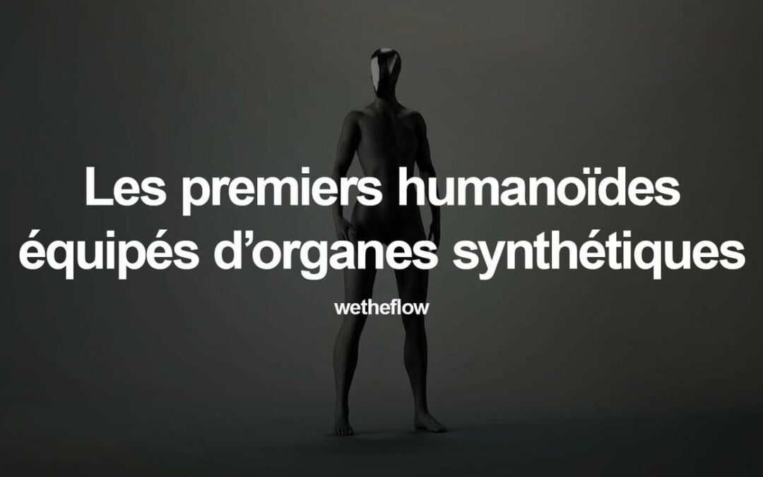 🤖 Les robots deviennent (presque) humains